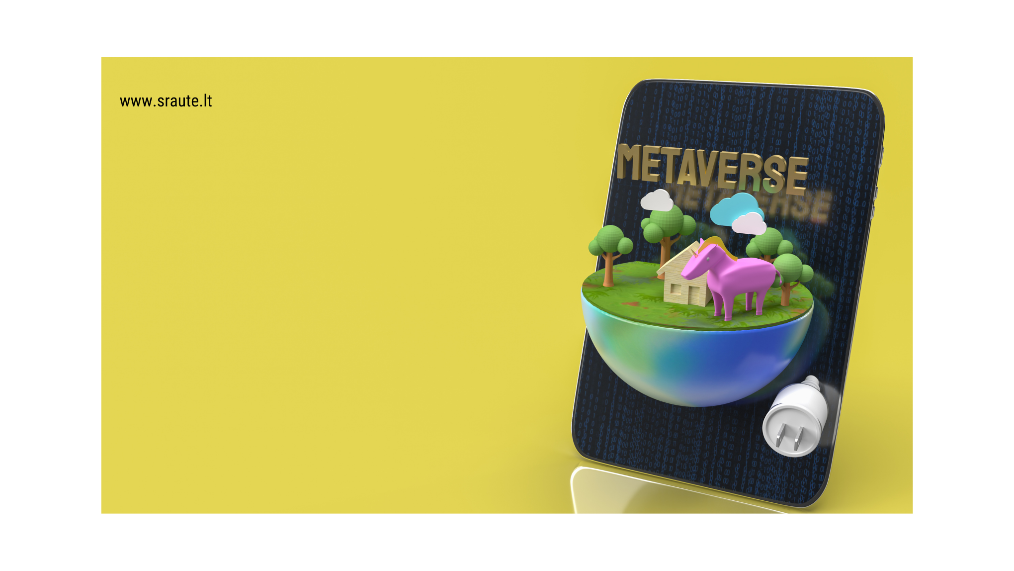 metavisata, metaverse terminas